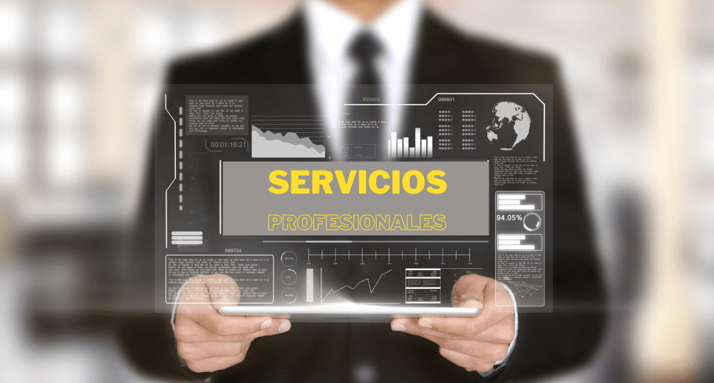 Servicios profesionales